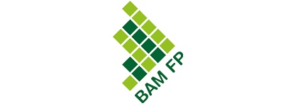 BAM Financial Planning